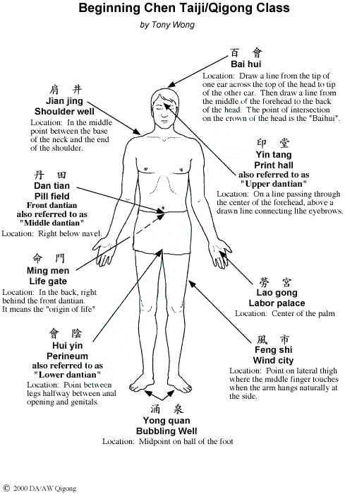 daigram accupressure points